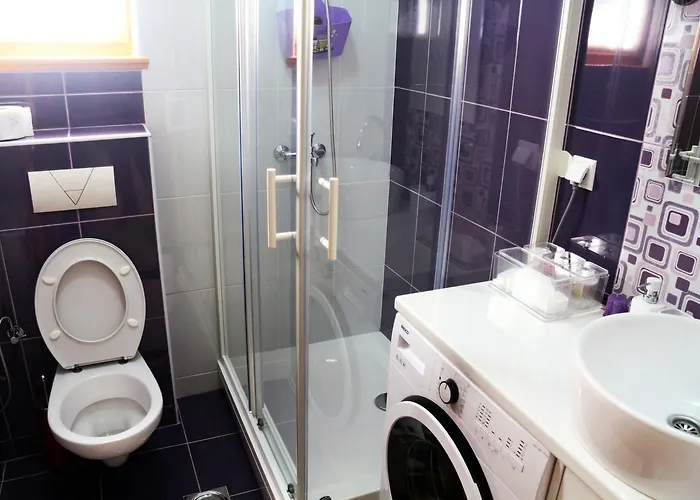 Bear * سراييفو