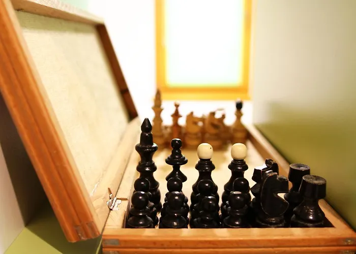 Bear * سراييفو