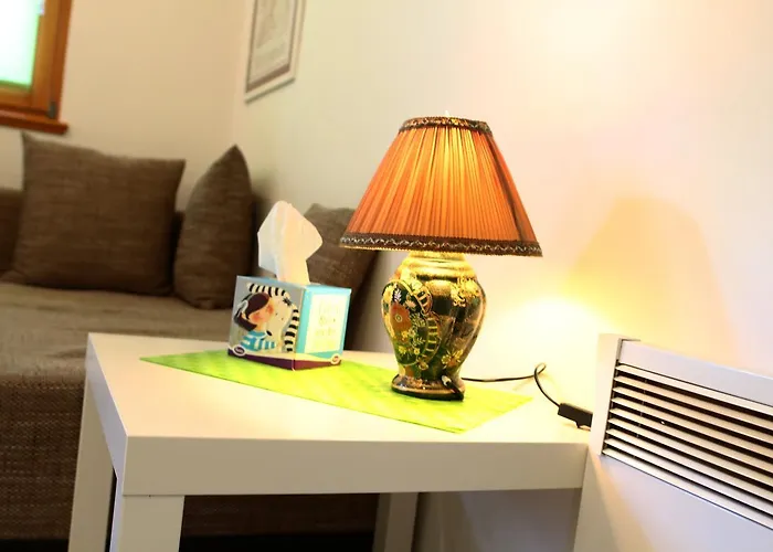 Bear * سراييفو