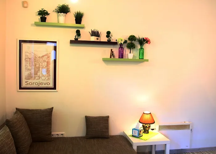 Bear * سراييفو